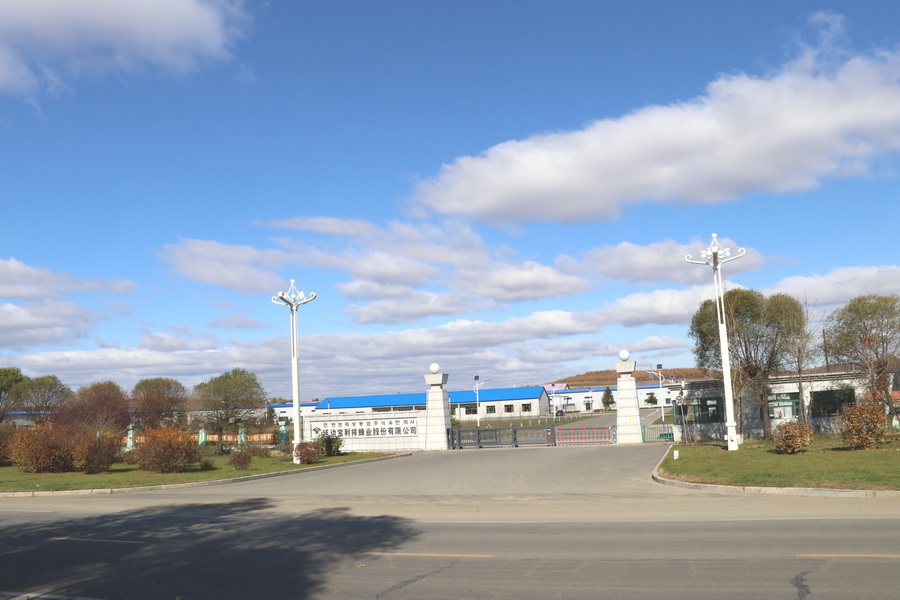 工廠搬遷至敦化市經濟開發區，占地面積為9萬平方米